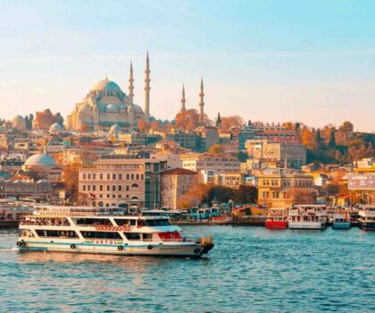 Bosphorus Tours Cruise