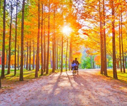 Nami Island