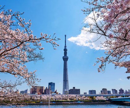 Tokyo Skytree